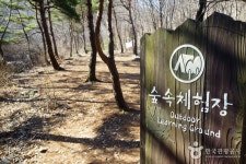 Yonghyeon National Recreational Forest (국립 용현자연휴양림) - Sightseeing - Korea travel and tourism information