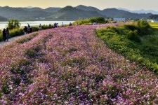 Lake Hills Golftel Bugok (레이크힐스 골프텔 부곡) - Alojamiento - los viajes e información turística de Corea