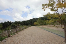 한티별빛아래오토캠핑장 레저스포츠 정보와 주변 관광 명소 및 근처 맛집 여행 정보