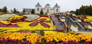 임실 오수망루 - 주변 여행 및 근처 관광 명소 - 국내 여행 정보와 관광 명소 정보