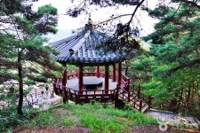 삼강주막마을, 회룡포마을, 출렁다리마을 코스 [웰촌] - 주변 여행 및 근처 관광 명소 - 국내 여행 정보와 관광 명소 정보