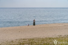 등명해변(등명해수욕장) 관광 정보와 주변 관광 명소 및 근처 맛집 여행 정보