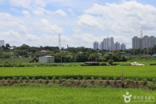 평동전통떡마을 관광 정보와 주변 관광 명소 및 근처 맛집 여행 정보