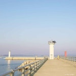 마량포구 관광 정보와 주변 관광 명소 및 근처 맛집 여행 정보