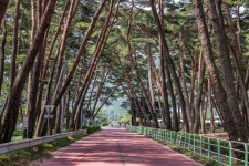 문장대야영장 - 주변 여행 및 근처 관광 명소 - 국내 여행 정보와 관광 명소 정보