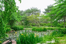 경상북도 산림환경연구원 관광 정보와 주변 관광 명소 및 근처 맛집 여행 정보