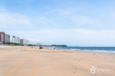 대천해수욕장 관광 정보와 주변 관광 명소 및 근처 맛집 여행 정보