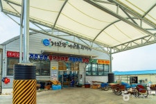 거진항 관광 정보와 주변 관광 명소 및 근처 맛집 여행 정보