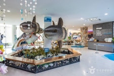 제주해양동물박물관 문화 정보와 주변 관광 명소 및 근처 맛집 여행 정보