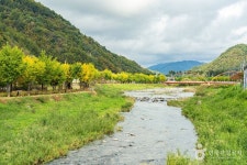 [효석문학100리길 2코스] 대화장터 가는 길 레저스포츠 정보와 주변 관광 명소 및 근처 맛집 여행 정보