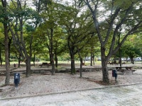 설악산국립공원 자동차야영장 레저스포츠 정보와 주변 관광 명소 및 근처 맛집 여행 정보