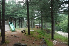 Cheongoksan National Recreational Forest (국립 청옥산자연휴양림) - Sightseeing - Korea travel and tourism information