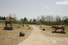 全谷里遺跡土層（漢灘江国家地質公園）（전곡리 유적 토층 (한탄강 국가지질공원) ） - 観光 - 韓国旅行・観光情報