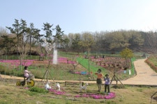 진도개 페스티벌 2018 - 뽐뿌:축제정보 진도개 페스티벌 2018