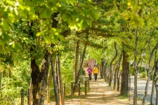Yongwangsan Neighborhood Park (용왕산근린공원) - Sightseeing - Korea travel and tourism information
