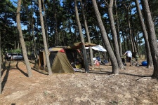 백사장사계절숲속캠핑장 레저스포츠 정보와 주변 관광 명소 및 근처 맛집 여행 정보