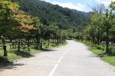 소금강오토캠프장 레저스포츠 정보와 주변 관광 명소 및 근처 맛집 여행 정보