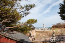 송이밸리자연휴양림 - 여행정보 |