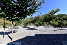 베뉴지CC - 주변 여행 및 근처 관광 명소 - 국내 여행 정보와 관광 명소 정보