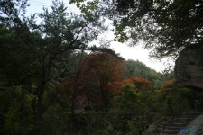 청화산 늘재방면 레저스포츠 정보와 주변 관광 명소 및 근처 맛집 여행 정보