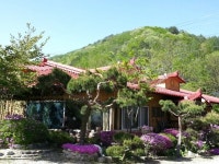 우리빌리지펜션 - 주변 여행 및 근처 관광 명소 - 국내 여행 정보와 관광 명소 정보