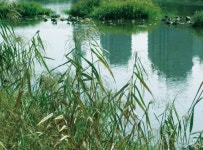 왕숙천둔치공원 - 주변 여행 및 근처 관광 명소 - 국내 여행 정보와 관광 명소 정보