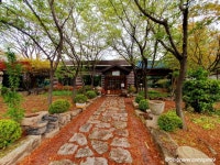 경주 중앙시장 - 주변 여행 및 근처 관광 명소 - 국내 여행 정보와 관광 명소 정보