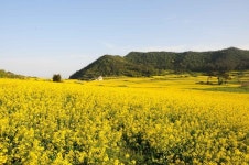 이충무공승전공원 - 주변 여행 및 근처 관광 명소 - 국내 여행 정보와 관광 명소 정보