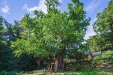 흥주사(태안) 관광 정보와 주변 관광 명소 및 근처 맛집 여행 정보