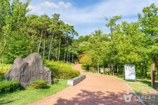 천년숲 레저스포츠 정보와 주변 관광 명소 및 근처 맛집 여행 정보