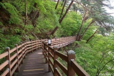 [효석문학100리길 1코스] 문학의 길 - 주변 여행 및 근처 관광 명소 - 국내 여행 정보와 관광 명소 정보