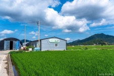 야미야미팜(야미야미팜농업회사법인(주)) 관광 정보와 주변 관광 명소 및 근처 맛집 여행 정보