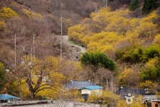 견두산 - 주변 여행 및 근처 관광 명소 - 국내 여행 정보와 관광 명소 정보