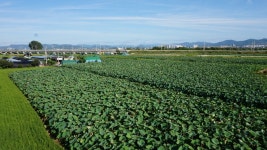 연지곤지 - 주변 여행 및 근처 관광 명소 - 국내 여행 정보와 관광 명소 정보