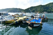 삼덕항 - 주변 여행 및 근처 관광 명소 - 국내 여행 정보와 관광 명소 정보