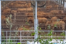청계목장 관광 정보와 주변 관광 명소 및 근처 맛집 여행 정보