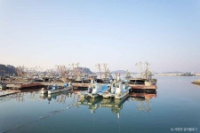 마량포구 관광 정보와 주변 관광 명소 및 근처 맛집 여행 정보