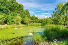 천년숲 레저스포츠 정보와 주변 관광 명소 및 근처 맛집 여행 정보