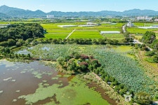 달맞이공원 관광 정보와 주변 관광 명소 및 근처 맛집 여행 정보