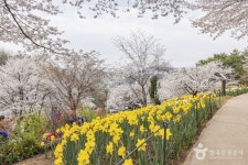 연희숲속쉼터 관광 정보와 주변 관광 명소 및 근처 맛집 여행 정보