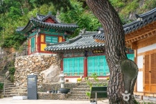 신흥사(충주) 관광 정보와 주변 관광 명소 및 근처 맛집 여행 정보