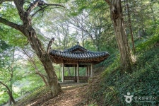 남희정 관광 정보와 주변 관광 명소 및 근처 맛집 여행 정보