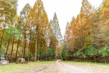 온빛자연휴양림 관광 정보와 주변 관광 명소 및 근처 맛집 여행 정보