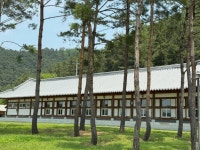 소나무집 음식점 정보와 주변 관광 명소 및 근처 맛집 여행 정보