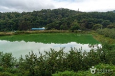 [대구올레 팔공산 4코스] 평광동 왕건길 레저스포츠 정보와 주변 관광 명소 및 근처 맛집 여행 정보