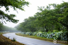 자연사랑미술관 - 주변 여행 및 근처 관광 명소 - 국내 여행 정보와 관광 명소 정보