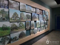 솔향공원 문화 정보와 주변 관광 명소 및 근처 맛집 여행 정보