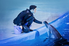 Pacific Land (퍼시픽랜드) - Sightseeing - Korea travel and tourism information