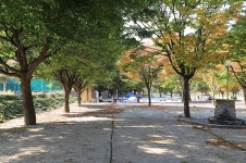 매일민박캠핑장 레저스포츠 정보와 주변 관광 명소 및 근처 맛집 여행 정보