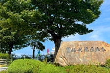 거제도 국제펭귄수영축제 - 주변 여행 및 근처 관광 명소 - 국내 여행 정보와 관광 명소 정보